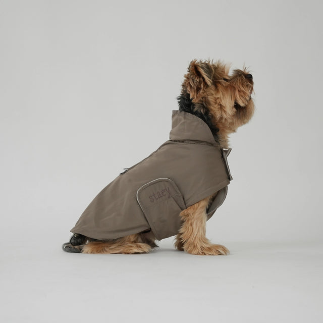Présentation générale de l'imperméable pour chien couleur taupe porté par un Yorkshire