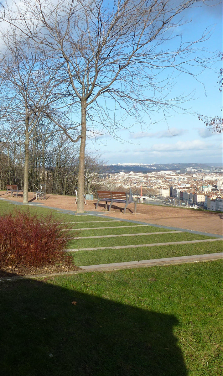 Le promontoire secret