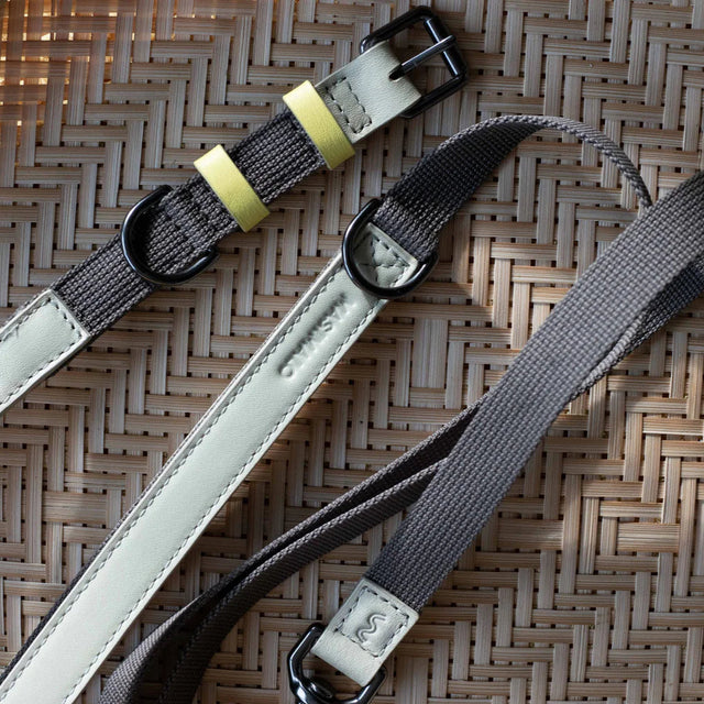 Laisse pour chien en tissu et en cuir