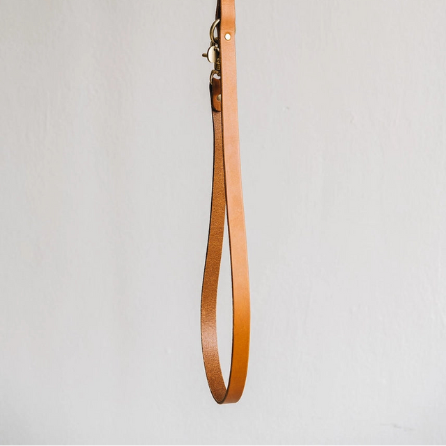 Laisse courte pour chien présentation produit band and roll