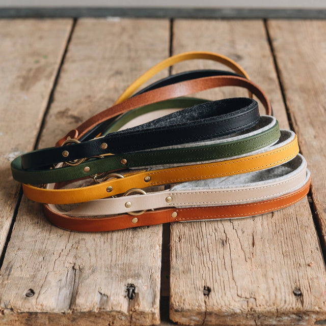 Laisses courtes pour chien présentation des produits avec coloris