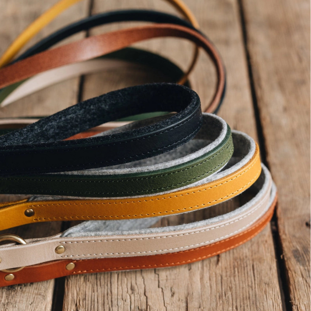 Laisses courte pour chien zoom sur la poignée