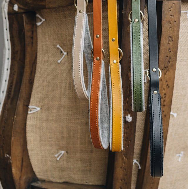 Laisses courtes pour chien mise en avant du produit et ses coloris