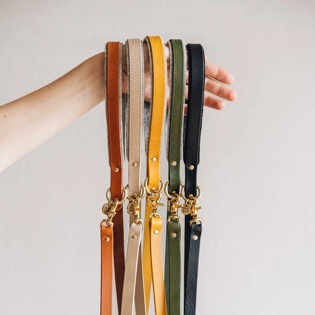 Présentation des laisses courtes pour chien band and roll