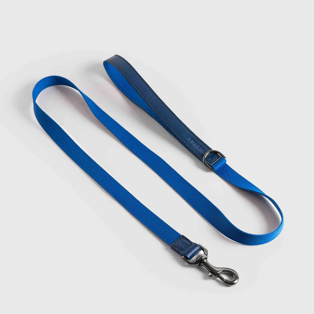 Laisse pour chien en tissu bleu