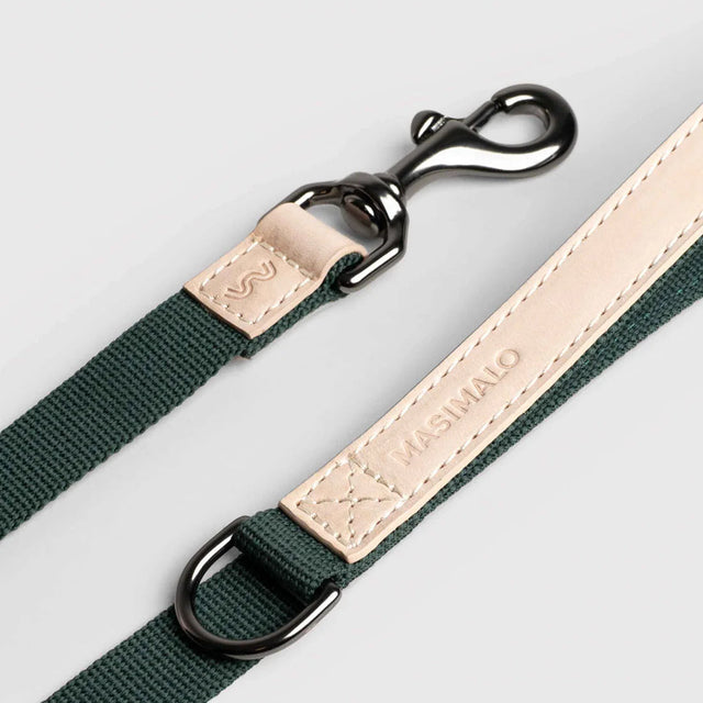 Laisse en tissus vert pour chien 