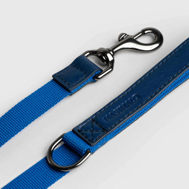 Laisse en tissu bleu pour chien