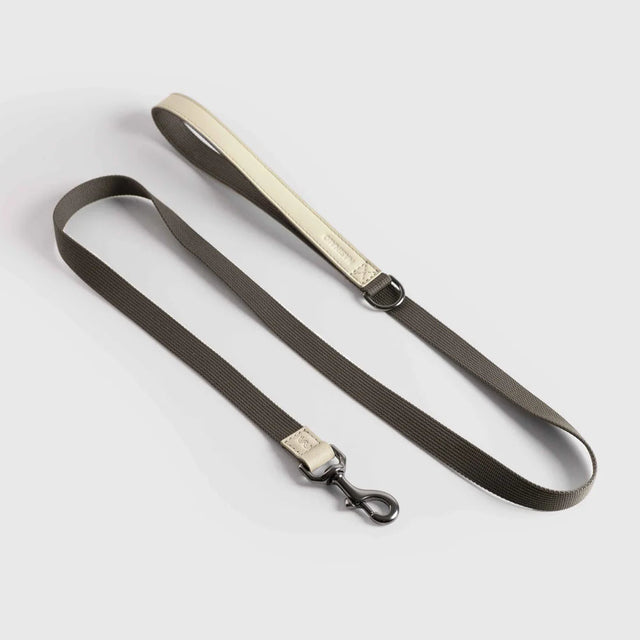 Laisse pour chien en tissu et cuir