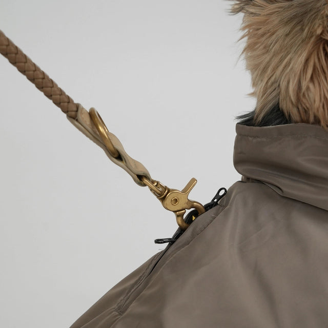Impermeable accroché à une laisse portée par un Yorkshire
