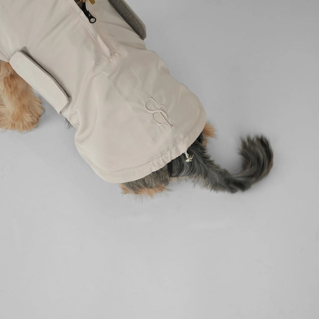 Arrière train d'un chien portant le manteau de pluie 