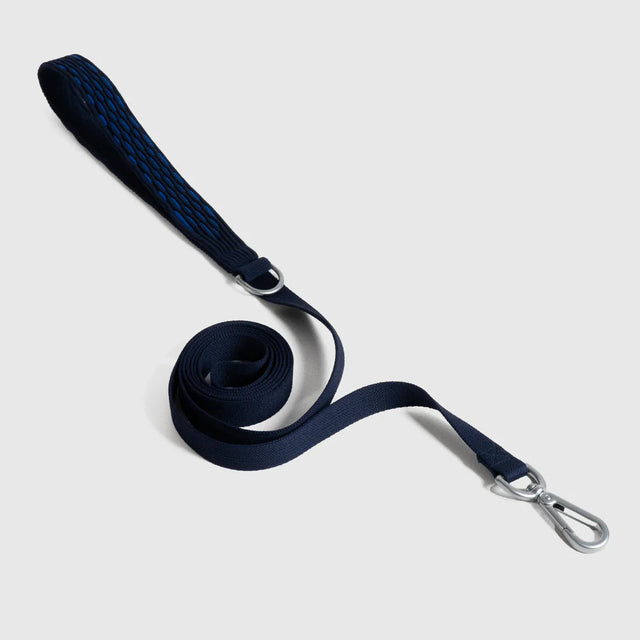 Laisse bleue en tissu pour chien