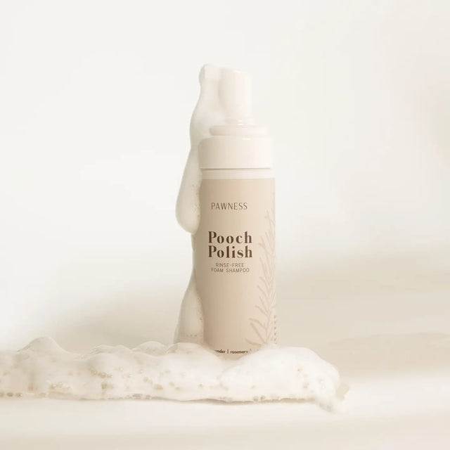 Présentation du flacon de shampoing sans rinçage mousse