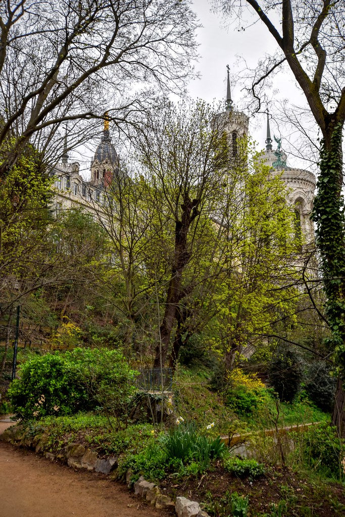 Le charme sauvage en ville