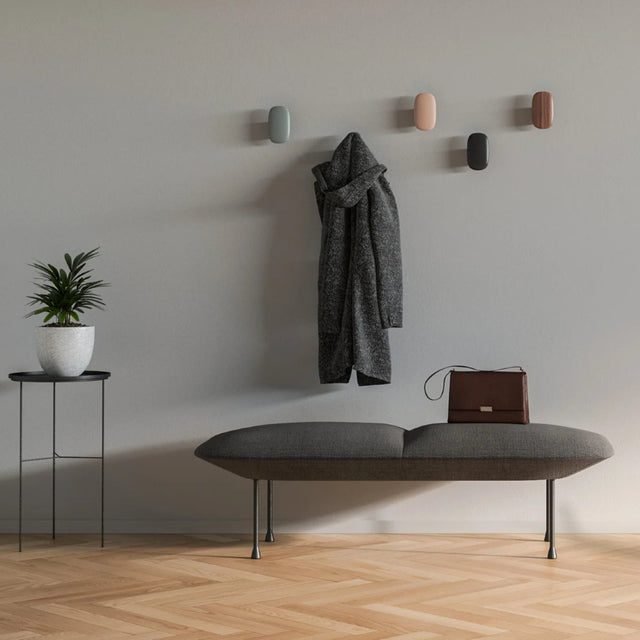 patère murale pour laisses de chien