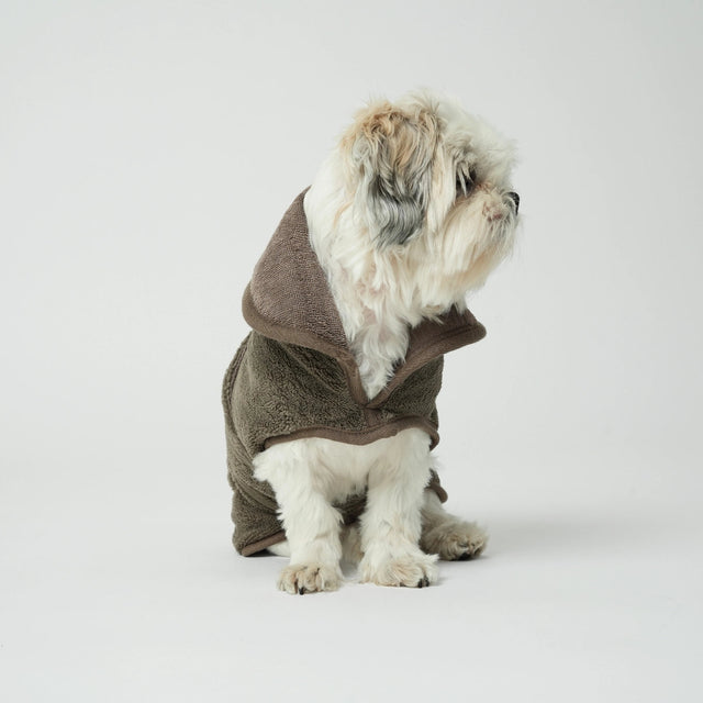 Présentation d'un peignoir porté par un bichon blanc regard de côté