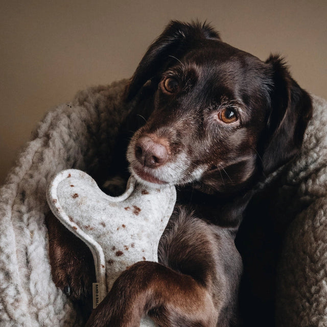 Peluche en laine en forme d'os