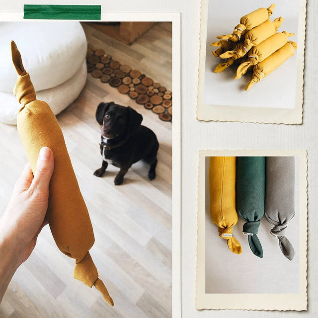 Mise en situation des jouets saucisse pour chien