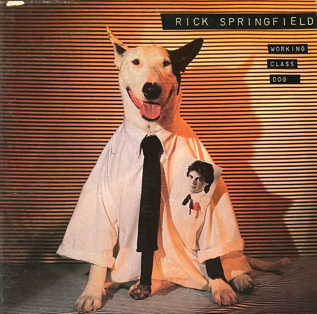 Rick Springfield – Working Class Dog - Vinyle
