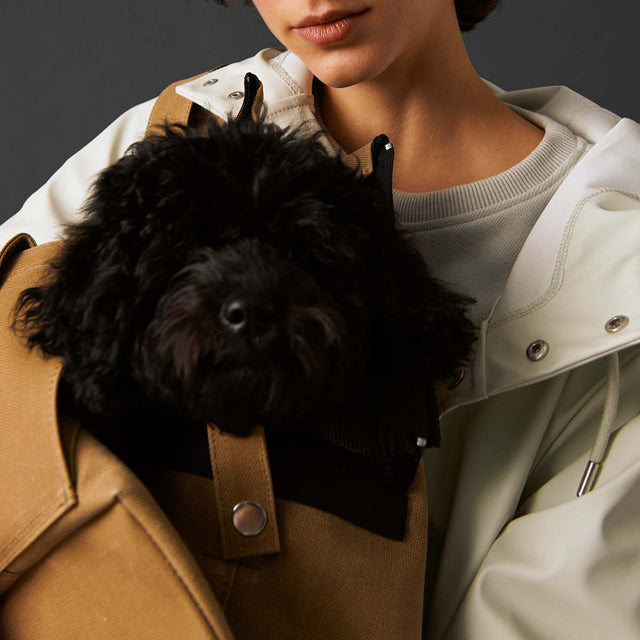 Mise en situation esthétique du sac de transport pour chien Bruno Society