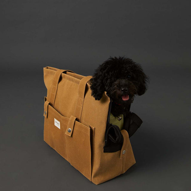 Sac Moutarde - Bruno Society avec caniche à l'intérieur