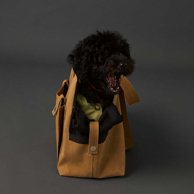 Présentation du sac de transport Moutarde avec un caniche 