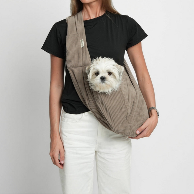 Présentation du sac porte-chien avec mannequin et bichon