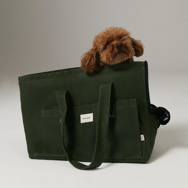 Sac de transport pour chien avec un caniche