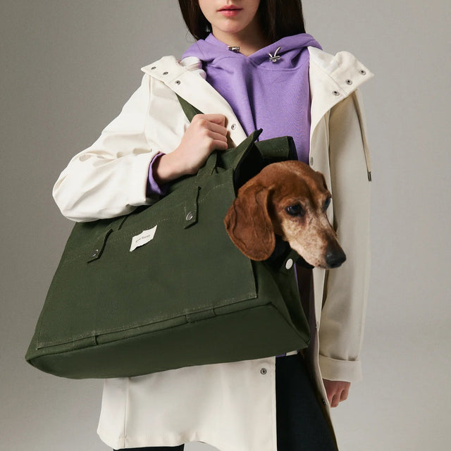 Mise en situation studio du sac de transport pour chien avec un teckel