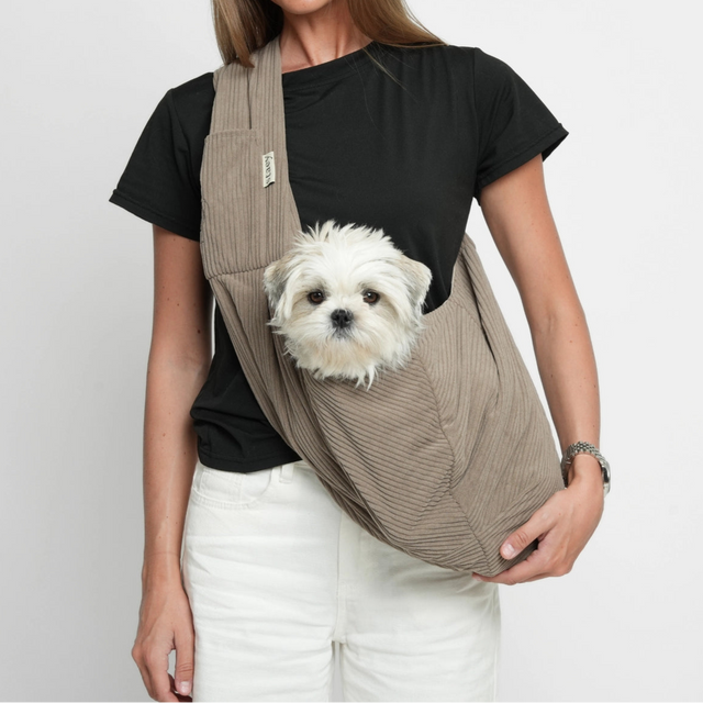 Présentation du sac porte-chien avec mannequin et bichon porté