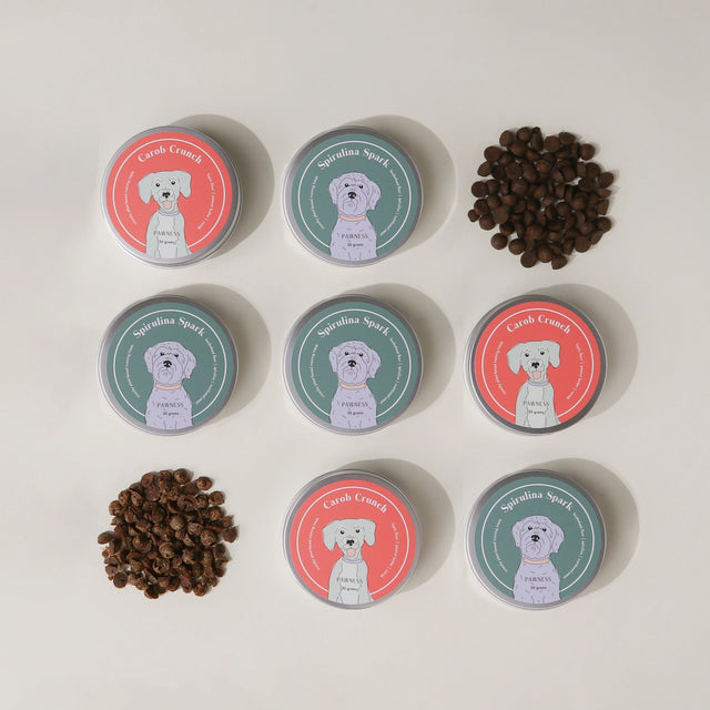 Petites boîtes de snacks pour chien