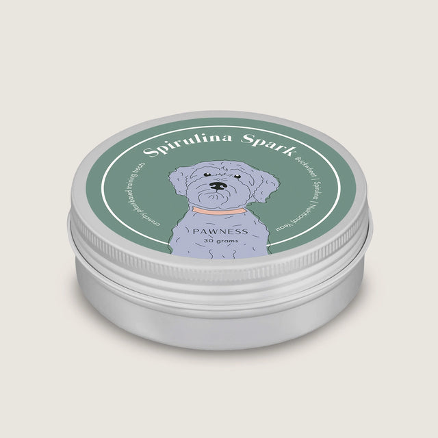 Suggestion de présentation de friandise d'entraînement pour chien