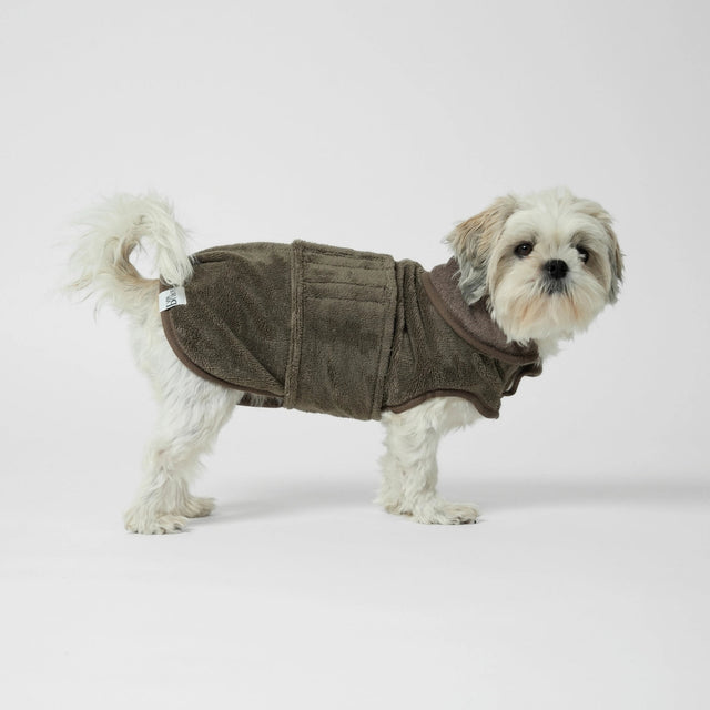 Bichon portant un peignoir gris vert 