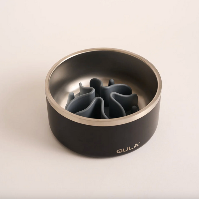 accessoire anti glouton pour gamelle 