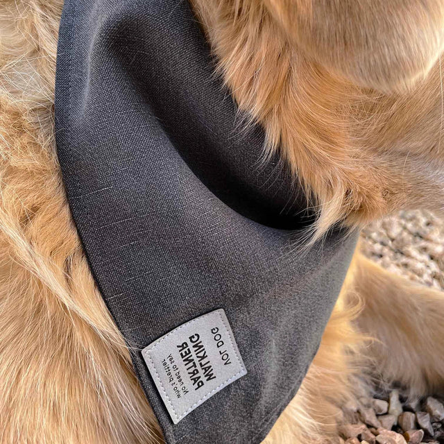 Bandana pour chien en lin porté par un chien sur la plage