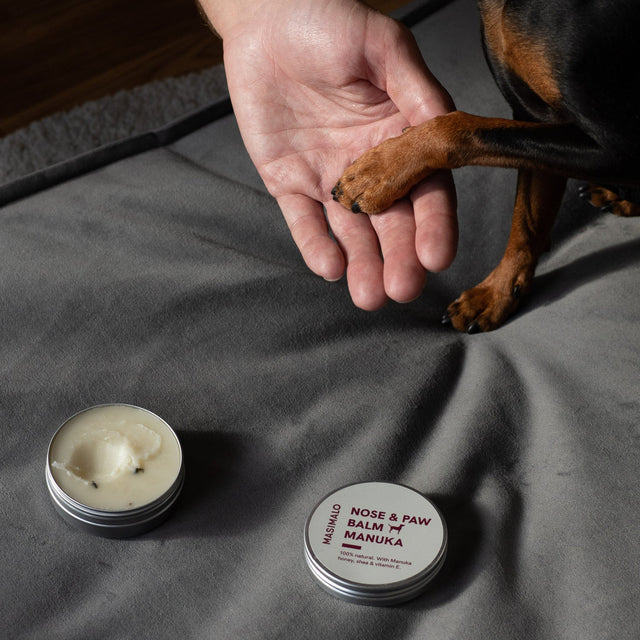 Baume pour chien mise en situation