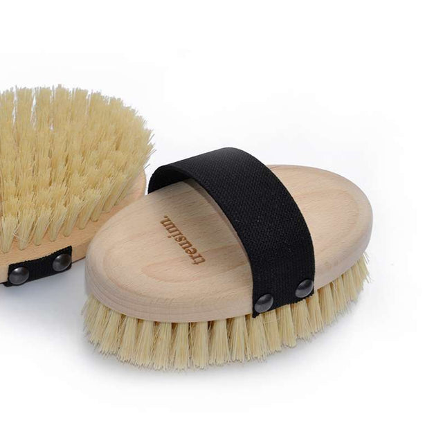 La Brosse - Chiens à poils courts