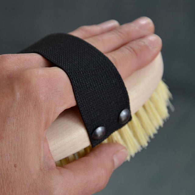 La Brosse - Chiens à poils courts