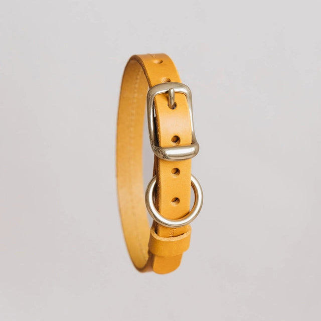 Collier en cuir moutarde pour chien sur fond neutre