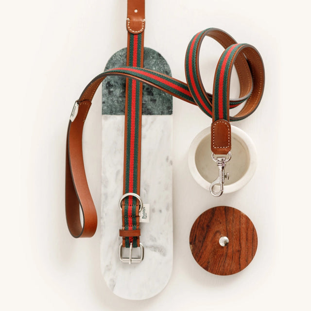 Collier pour chiens en cuir et en tissu avec sa laisse assortie