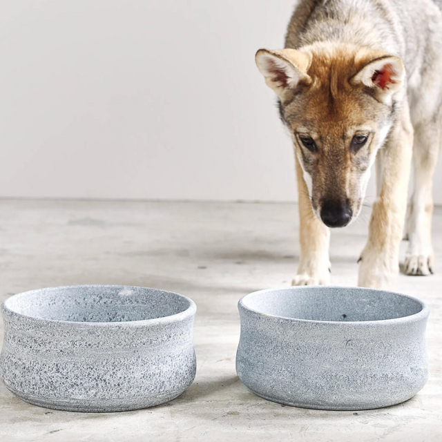 gamelle design en pierre pour chien 