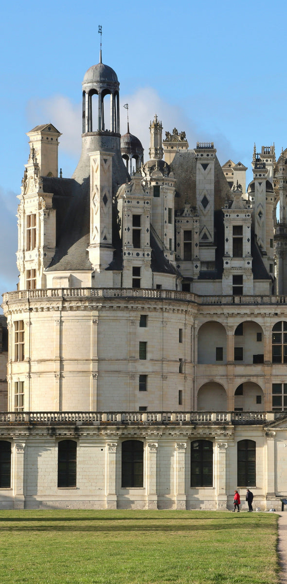 La forêt à perte de vue