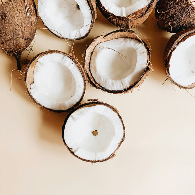 Noix de coco contenue dans le sérum auriculaire naturel pour chien