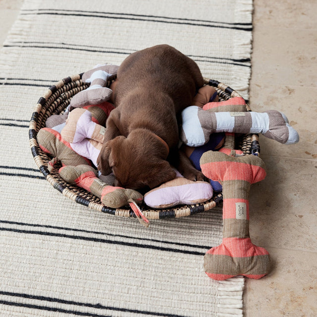 Jouet pour chien en forme d'os dans son panier 