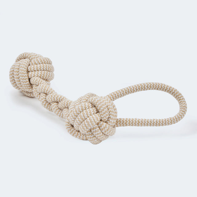 Jouet de tire en os tressé pour chien sur fond neutre
