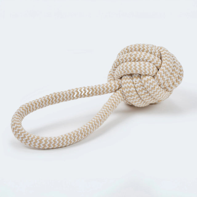 Jouet de tire pour chien en corde tressée sur fond neutre