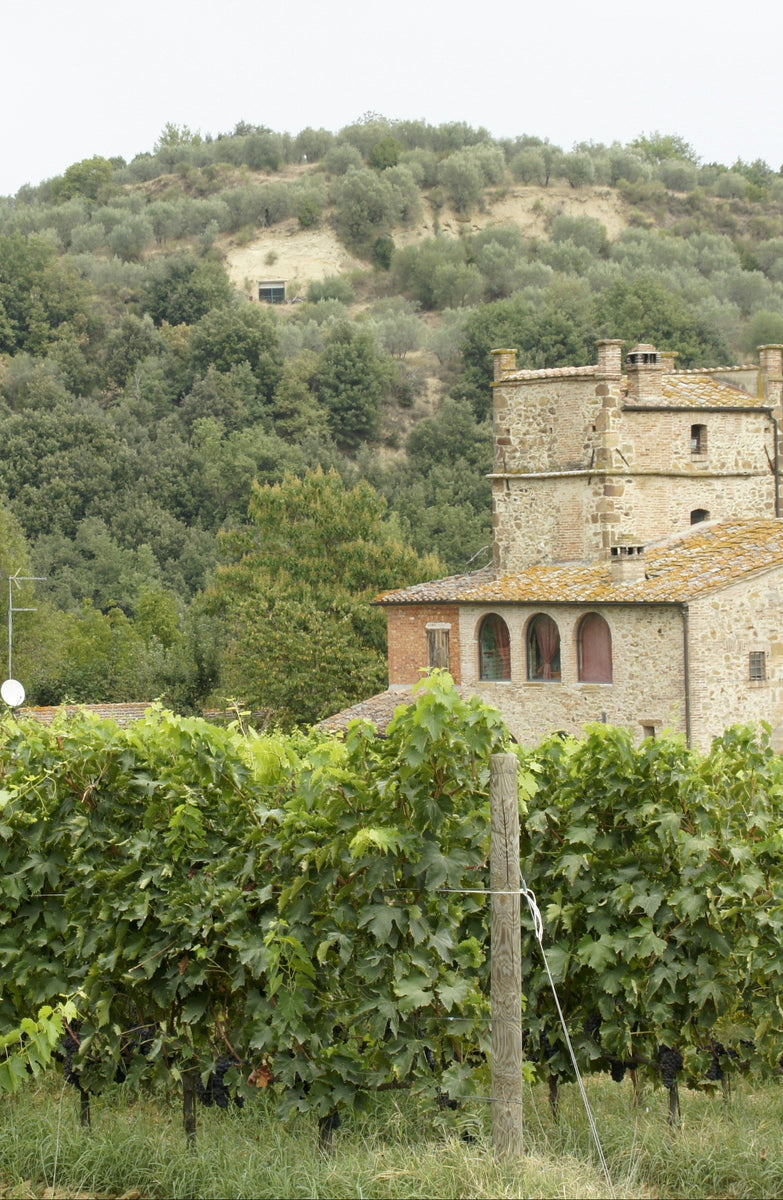 Le balcon sur la vallée du Rhône