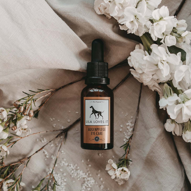 soin des yeux pour les chiens