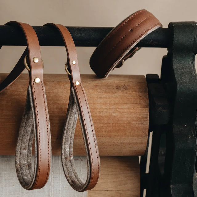 Laisses courtes en cuir marron pour chien mises en scène