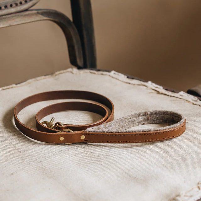 Laisse pour chien posée sur une chaise