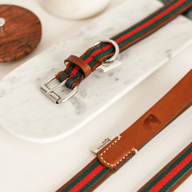 présentation de laisse pour chien en tissu et en cuir